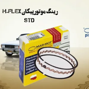 رینگ موتور پیکان STD مارموت لهستان